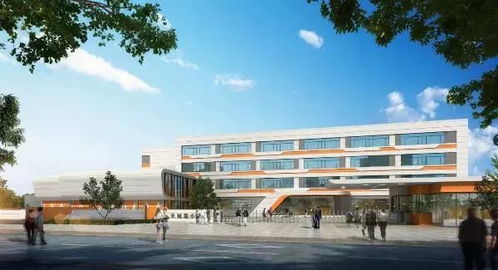 速看 青岛这么多地方要变学区房 这些区域将新改建一大批好学校