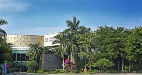 安利上央视cctv2 第一时间 播出 外企复工复产 投资信心不变 的报道