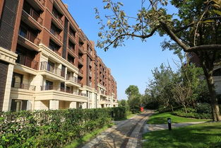 土豪的炫富神器,买房就送