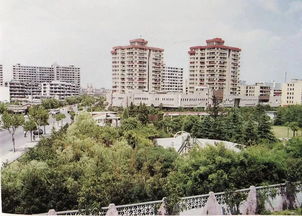 杨树浦 五角场 工人新村 大杨浦 为什么这么大