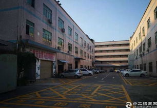 龙岗新出800平精装修厂房租16带电梯 可分租