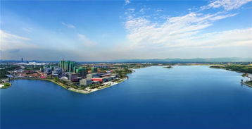 醉绿 春色 看天府新区公园城市建设的破题与突围