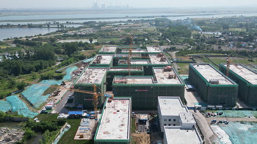 安徽向新丨淮南八公山区 熬制味蕾里的 向新力