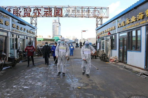 慎终如始 平战结合 南岗区市场局持续开展进口冷链食品风险管控