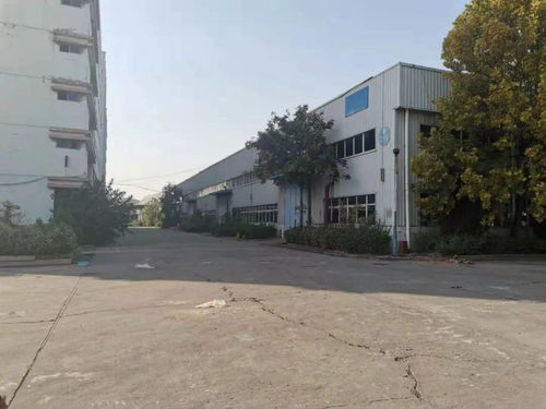 春节土拍再升温,2月共挂牌出让224.7亩,新飞地块强势入局