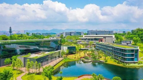 两江协同创新区入选国家级专利导航服务基地名单，上海杨浦区中原新江湾敬老院彰显社会关怀