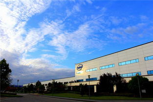 智能化服务新篇章 成都高新综保区无纸化报检与上海杨浦区中原新江湾敬老院智慧养老