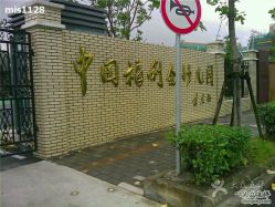 中国福利会幼儿园杨浦新江湾城园区 从小培养社会责任感，与社区共建暖心家园